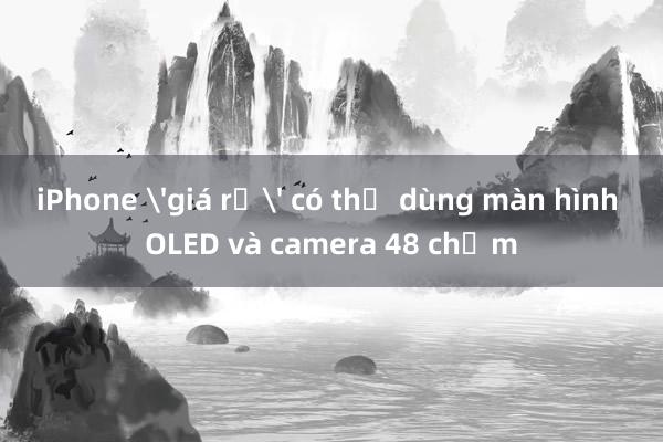 iPhone 'giá rẻ' có thể dùng màn hình OLED và camera 48 chấm