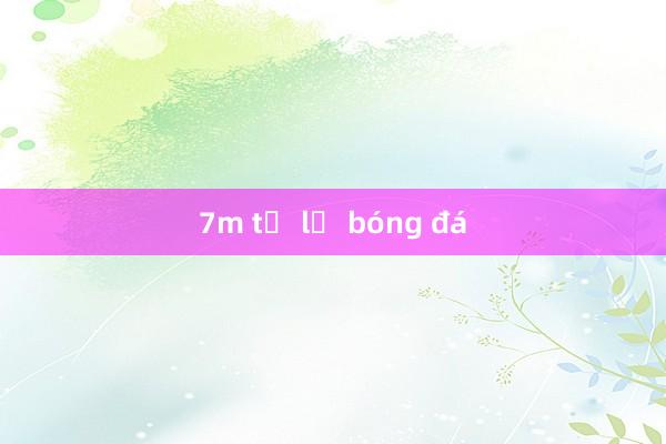 7m tỷ lệ bóng đá