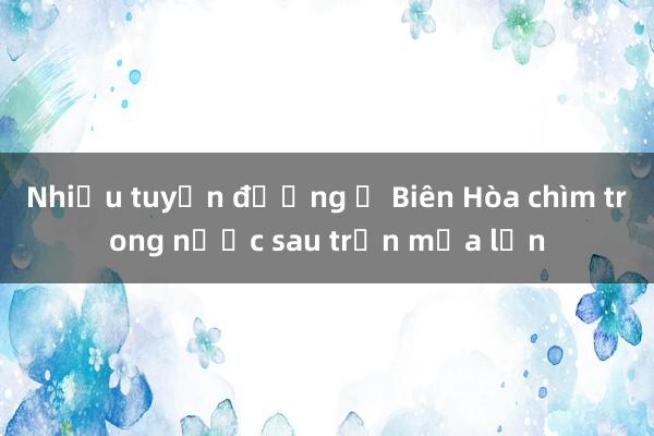 Nhiều tuyến đường ở Biên Hòa chìm trong nước sau trận mưa lớn