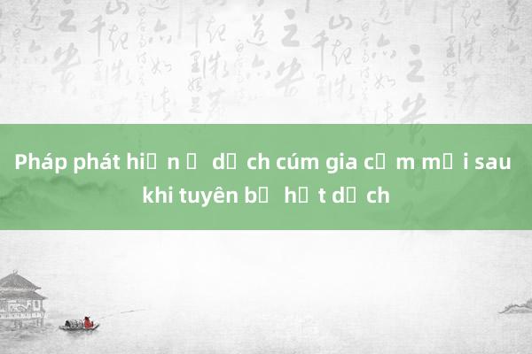 Pháp phát hiện ổ dịch cúm gia cầm mới sau khi tuyên bố hết dịch